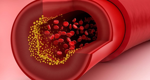 Cholesterol đóng vai trò cực kỳ quan trọng đối với cơ thể