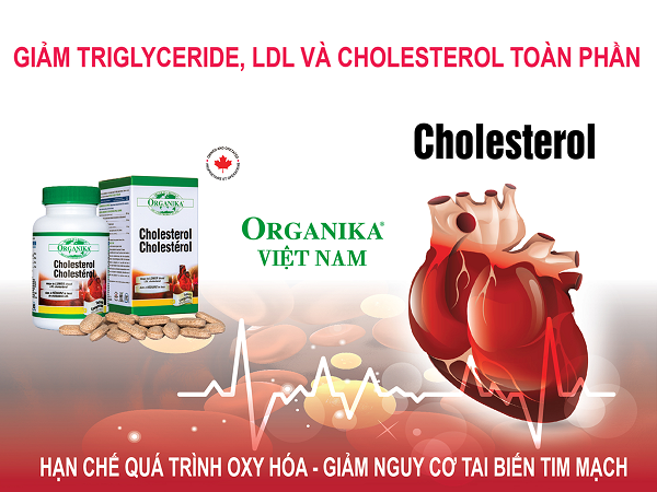 Organika Cholesterol là giải pháp giúp hạ nồng độ cholesterol trong máu