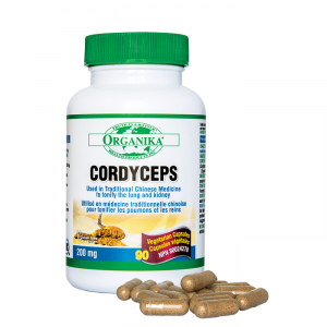 Cordyceps-2