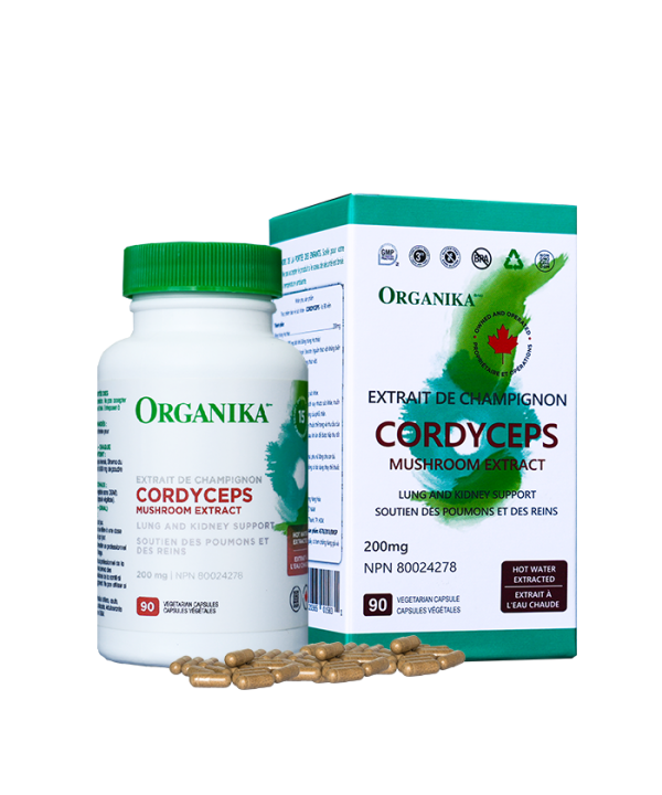 organika cordyceps đông trùng hạ thảo canada