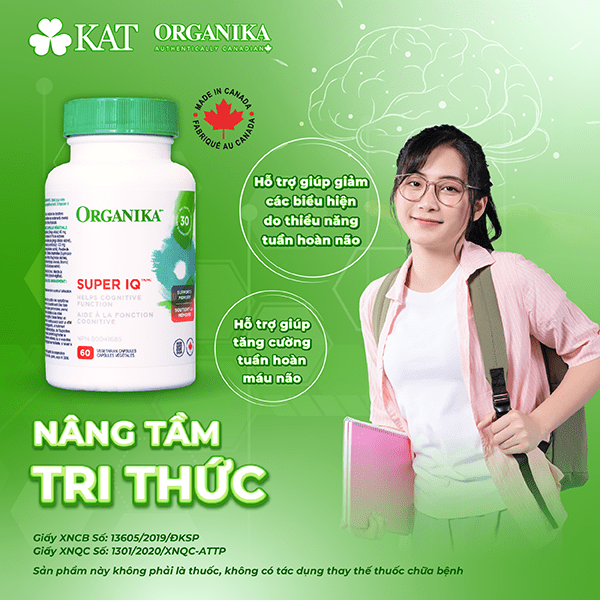 Thực phẩm bảo vệ sức khỏe Organika Super IQ hỗ trợ tăng cường tuần hoàn não, giảm các biểu hiện do thiểu năng tuần hoàn não