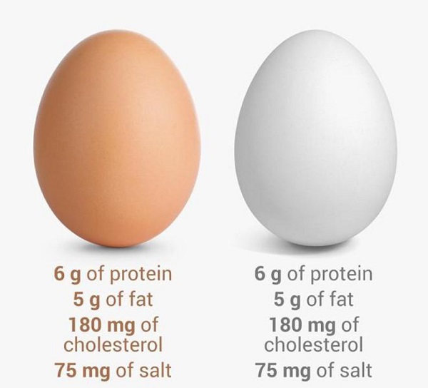 Tất cả các loại trứng gà đều như nhau về mặt dinh dưỡng, không phân biệt kích thước và màu sắc của vỏ