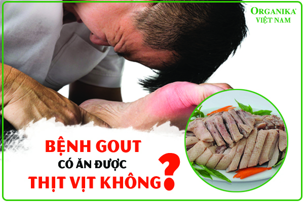 Người bệnh Gout nên hạn chế ăn thịt vịt