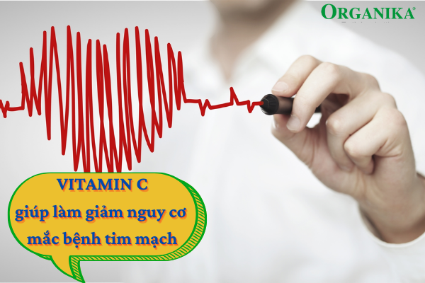 Tích cực bổ sung Vitamin C cho cơ thể sẽ góp phần làm giảm nguy cơ mắc bệnh tim mạch