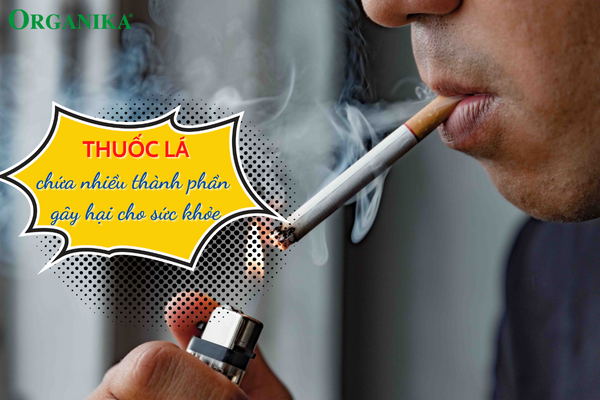 Thuốc lá có chứa thành phần Nicotine có thể gây nghiện