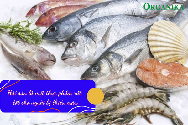 Người bị thiếu máu nên tích cực bổ sung hải sản vào khẩu phần ăn 