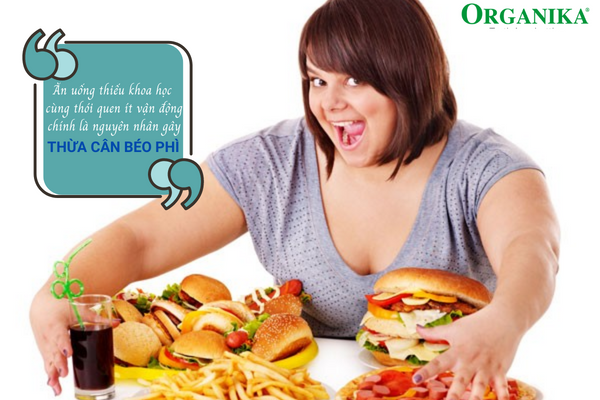 Các thực phẩm không lành mạnh chính là thủ phạm hàng đầu gây béo phì