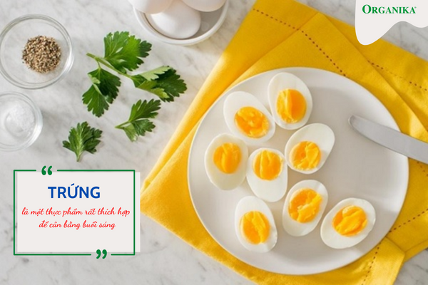 Để có bữa sáng nhanh gọn và đầy đủ dinh dưỡng thì không nên bỏ qua trứng