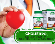 Organika Cholesterol – Lựa chọn tuyệt vời cho trái tim khỏe mạnh