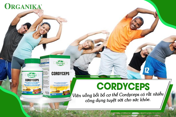 Viên uống Organika Cordycesp có nhiều công dụng cho sức khỏe