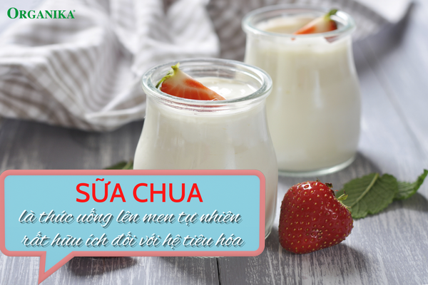 Người bị đau dạ dày nên ăn sữa chua thường xuyên để hỗ trợ điều trị bệnh