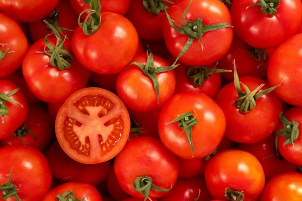 Các dưỡng chất trong cà chua sẽ giúp phục hồi làn da bị cháy nắng hiệu quả