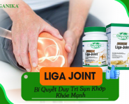 Organika Liga Joint – Bí quyết duy trì sụn khớp khỏe mạnh