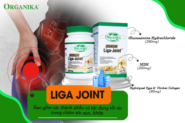 Liga Joint có các thành phần có tác dụng trong chăm sóc sụn khớp