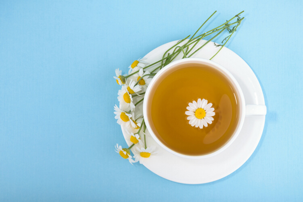 Trước khi đi ngủ là thời điểm lý tưởng để uống trà hoa cúc