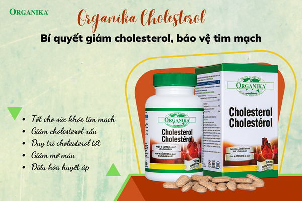 Organika Cholesterol - “Chìa khóa” bảo vệ sức khỏe tim mạch 