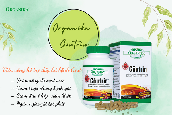 Organika Goutrin - "Bảo bối" sống chung cùng bệnh gout