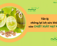Tiết lộ những lợi ích sức khỏe của chiết xuất hạt nho Tiết lộ những lợi ích sức khỏe của chiết xuất hạt nho