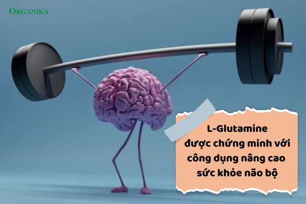 L-Glutamine giúp tăng cường sức khỏe não bộ toàn diện