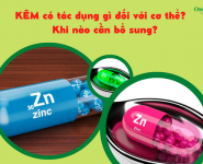 Kẽm có tác dụng gì đối với cơ thể? Khi nào cần bổ sung? 
