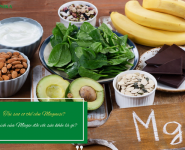 Tại sao cơ thể cần Magnesi? Lợi ích của Magie đối với sức khỏe là gì? Tại sao cơ thể cần Magnesi? Lợi ích của Magie đối với sức khỏe là gì?