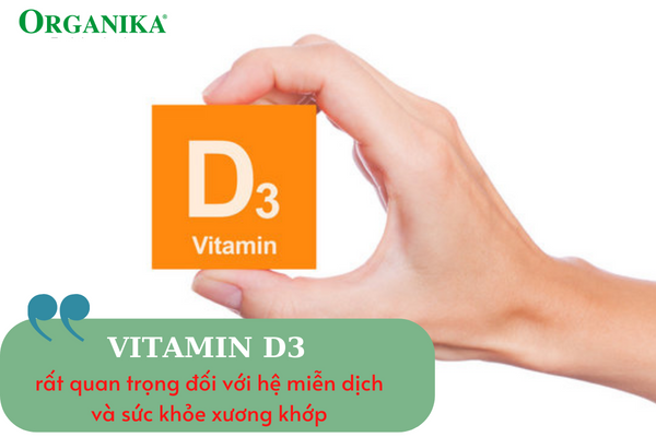 Vitamin D3 là một dưỡng chất quan trọng đối với sức khỏe xương và răng