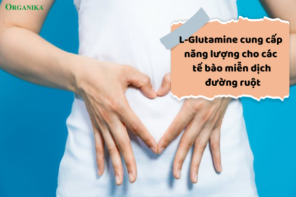 Bổ sung L-Glutamine đầy đủ là cách duy trì hệ đường ruột khỏe mạnh