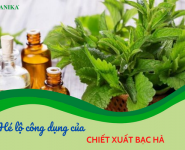 Hé lộ công dụng của chiết xuất bạc hà Hé lộ công dụng của chiết xuất bạc hà
