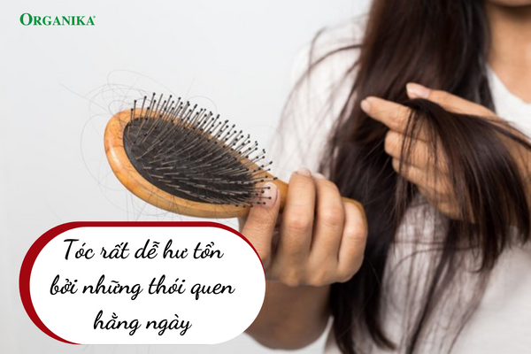 Tóc rất dễ “tổn thương” nếu không được chăm sóc kỹ