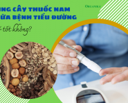 Dùng cây thuốc nam chữa bệnh tiểu đường có tốt không?