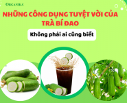 Những công dụng tuyệt vời của trà bí đao không phải ai cũng biết Những công dụng tuyệt vời của trà bí đao không phải ai cũng biết
