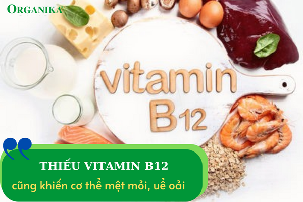 Khi cơ thể thiếu Vitamin B12 cũng có thể gây ra tình trạng mệt mỏi 