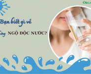 Bạn biết gì về hội chứng ngộ độc nước?