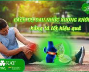 Cách trị đau nhức xương khớp hiệu quả bằng lá lốt