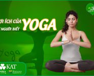 Lợi ích của yoga với sức khỏe ít người biết Lợi ích của yoga với sức khỏe ít người biết