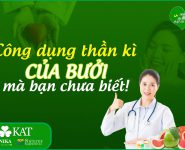Những công dụng thần kỳ của bưởi mà bạn chưa biết!