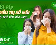 Bí kíp điều trị sổ mũi ngay tại nhà vào mùa lạnh Bí kíp điều trị sổ mũi ngay tại nhà vào mùa lạnh