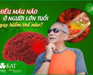 Thiếu máu não ở người lớn tuổi nguy hiểm thế nào? Thiếu máu não ở người lớn tuổi nguy hiểm thế nào?