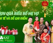 Chọn quà biếu bố mẹ vợ sao cho tinh tế và dễ ghi điểm? 