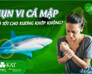Sụn vi cá mập có tốt cho xương khớp không? Sụn vi cá mập có tốt cho xương khớp không?