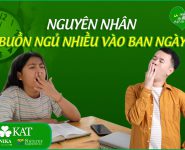 Nguyên nhân dẫn đến buồn ngủ nhiều vào ban ngày