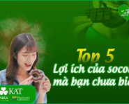Top 5 lợi ích của socola mà bạn chưa biết