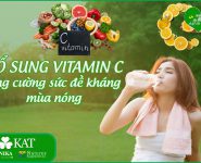 Bổ sung vitamin C tăng cường đề kháng mùa nóng Bổ sung vitamin C tăng cường đề kháng mùa nóng