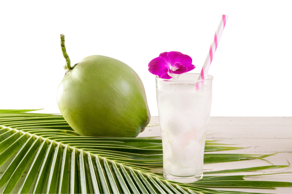Mặc dù nước dừa tốt cho sức khỏe nhưng không nên uống nhiều