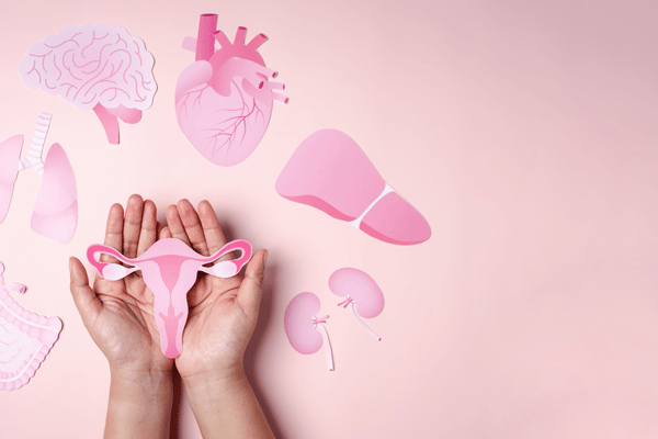 Nội tiết tố đóng vai trò quan trọng đối với cơ thể người phụ nữ