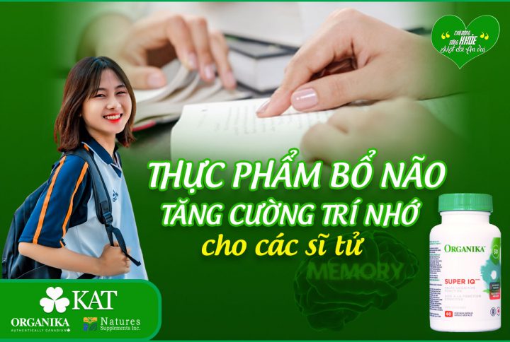 Thực phẩm bổ não tăng cường trí nhớ cho sĩ tử