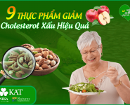 Thực phẩm giảm cholesterol trong máu hiệu quả