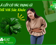 Lá lốt có tác dụng gì đối với sức khỏe con người