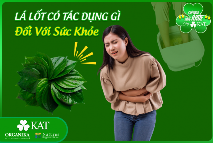 Lá lốt có tác dụng gì đối với sức khỏe con người