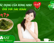 Tác dụng của rong nho đối với sức khỏe của con người Tác dụng của rong nho đối với sức khỏe của con người